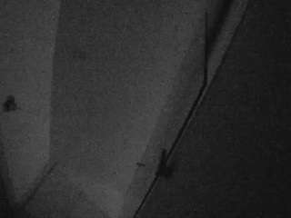 Casa Salsa Bathroom 7